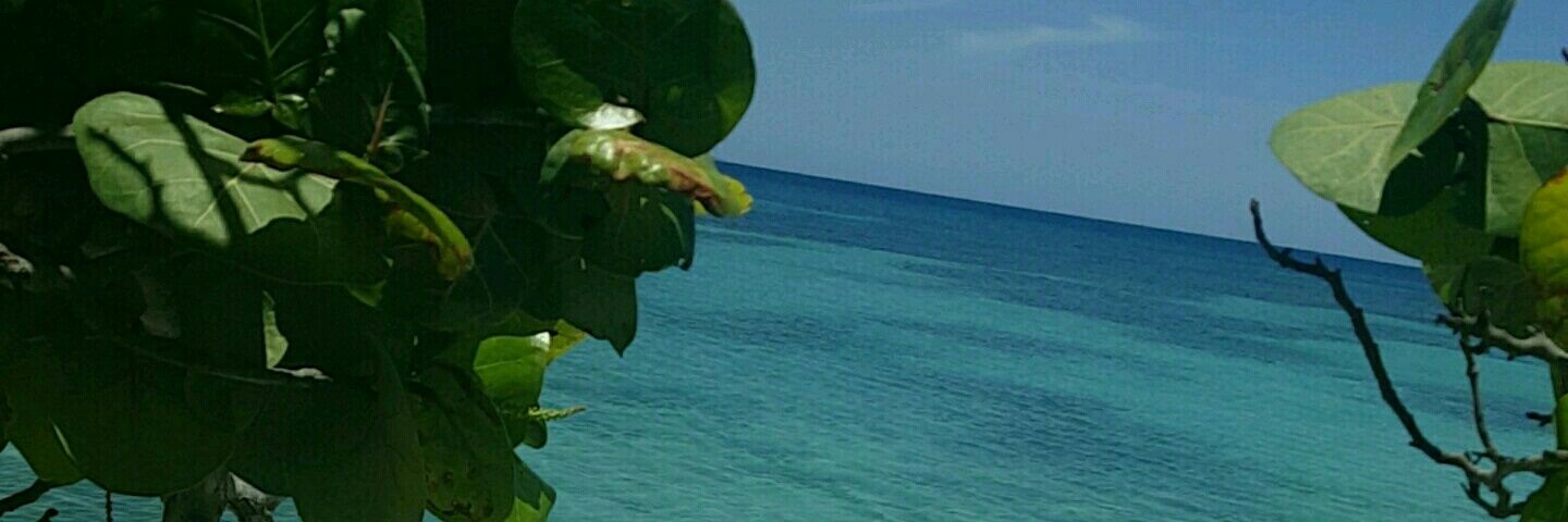 ShawTinkerbell's profile banner image