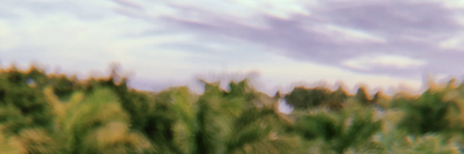 nikki_is_icky's profile banner image