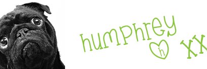 Pugmumsrock's profile banner image
