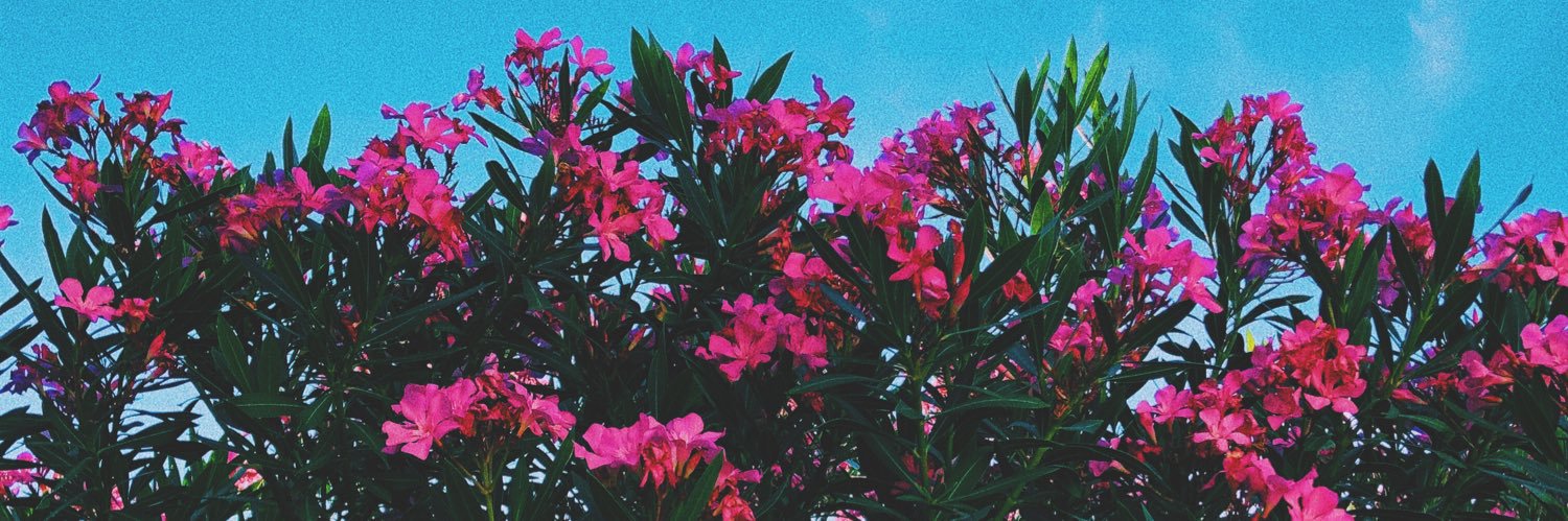 julia_pxl's profile banner image
