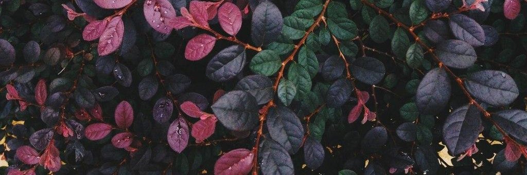 themoon0201's profile banner image