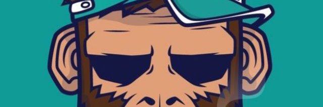 iBoy007_Fox's profile banner image