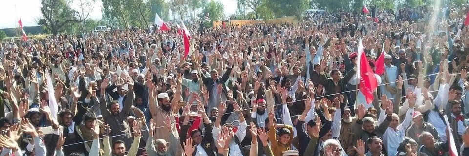 Awami Workers Party banner