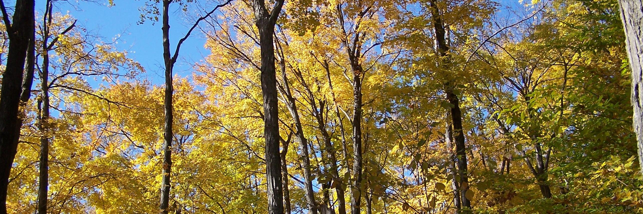 cmtgb's profile banner image