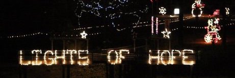 Anderson Lights of Hope banner