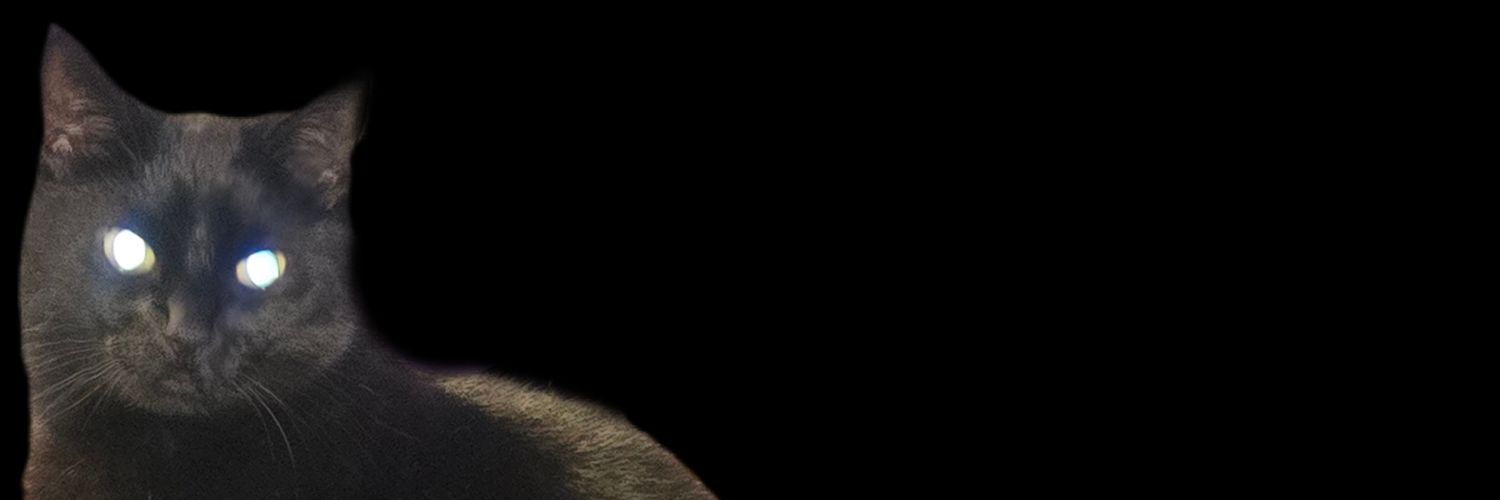 EthosViolet's profile banner image