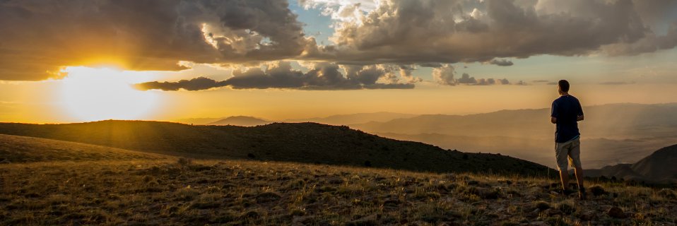 Scotty Strachan banner
