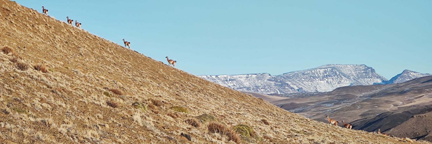 H4blemos_de's profile banner image