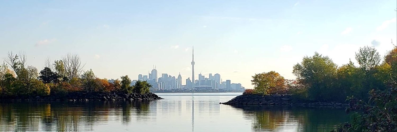 RNAO-Region 6 banner