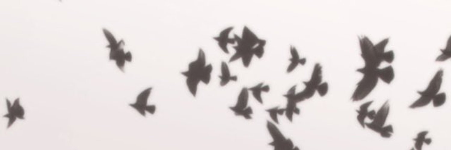 AdelineCmp's profile banner image