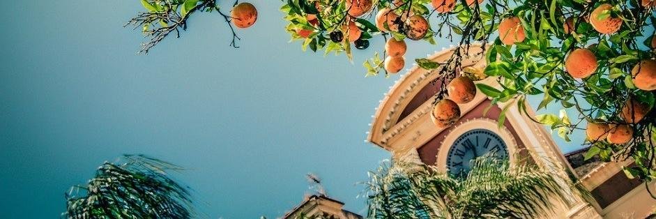 ChiaragiuliaRe's profile banner image