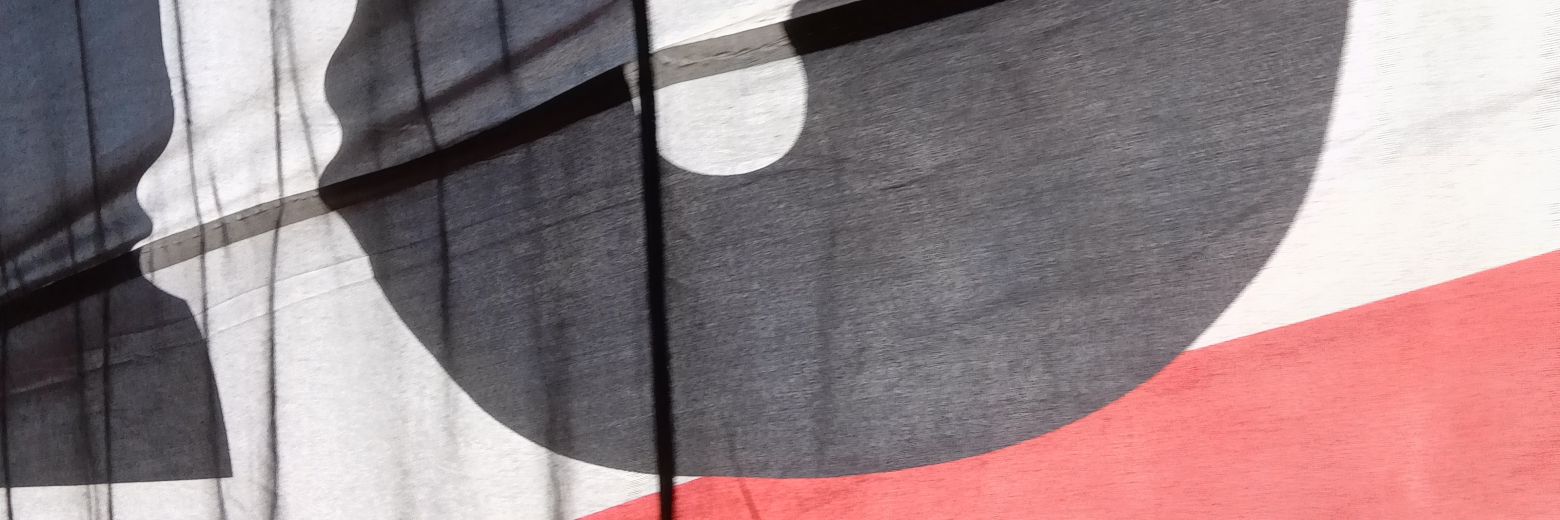 DT0901's profile banner image
