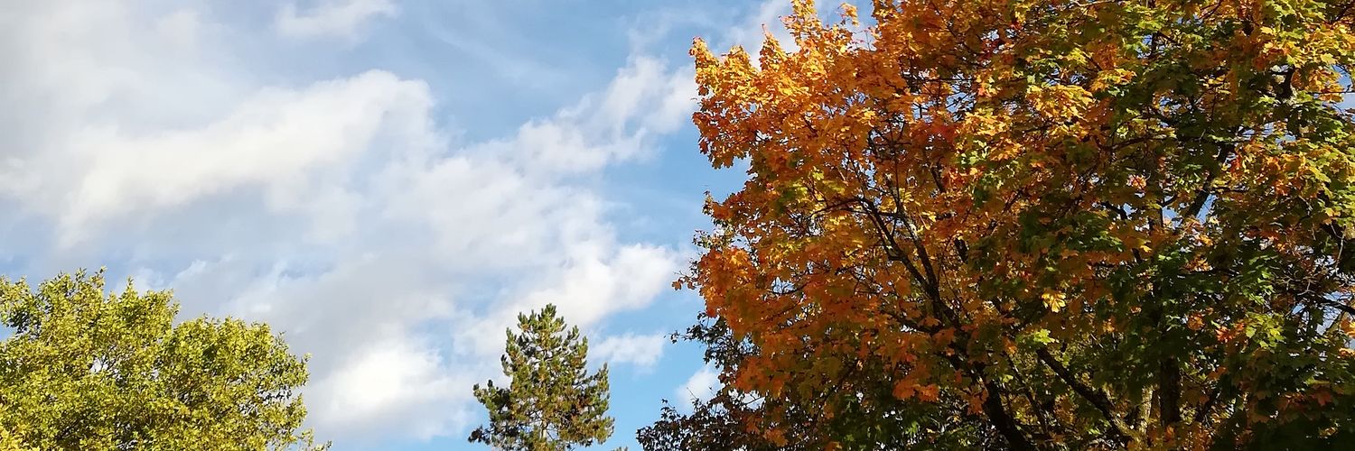 Internetstein's profile banner image