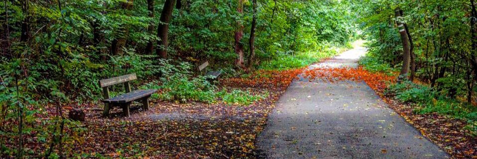 Najwa Al Tuwaijri🇸🇦💚MBS banner