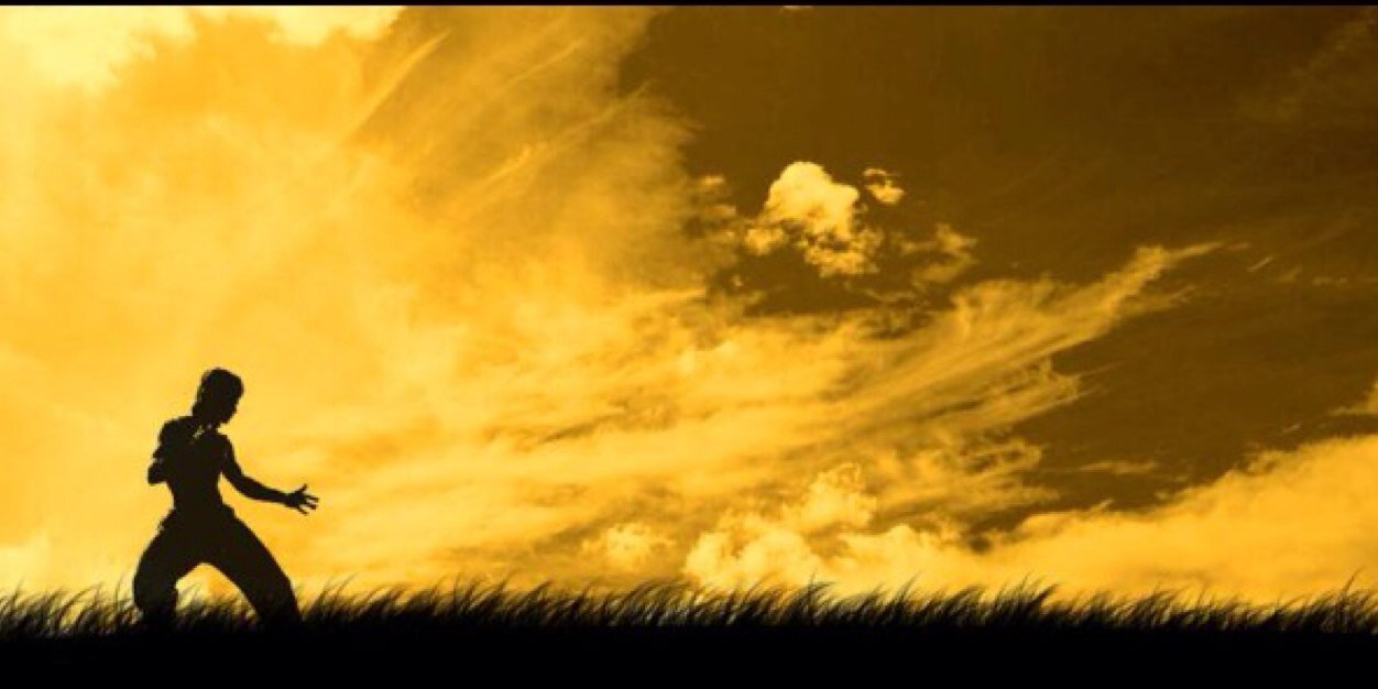 dbrad83's profile banner image