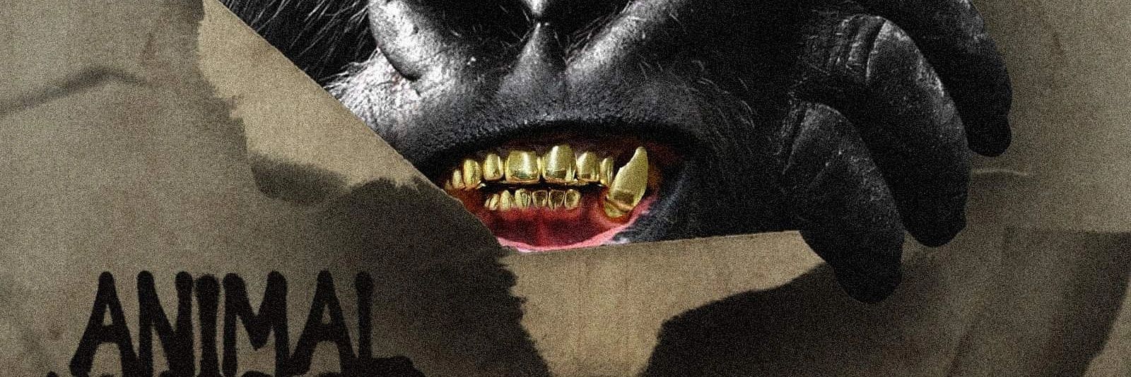gorilla_bigbos's profile banner image