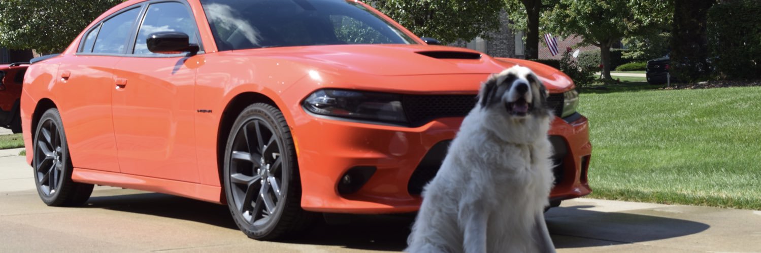 randallmoore_'s profile banner image