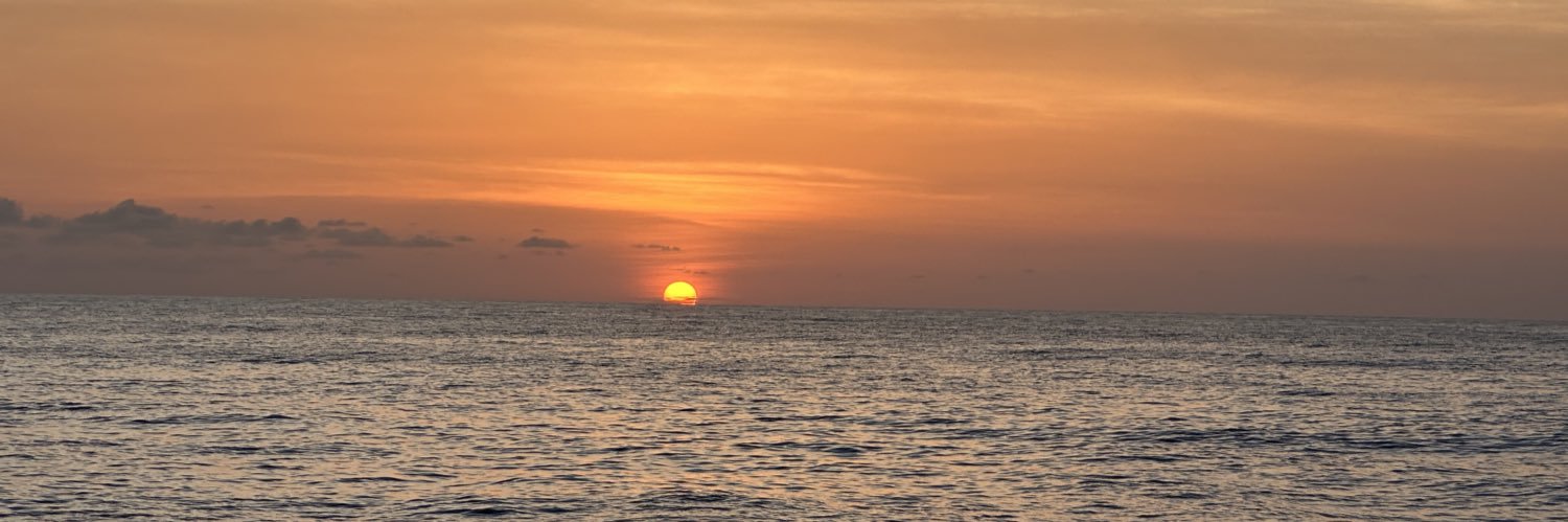 NeilWilsonAIQ's profile banner image