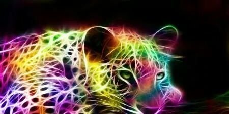 MsTonja_'s profile banner image