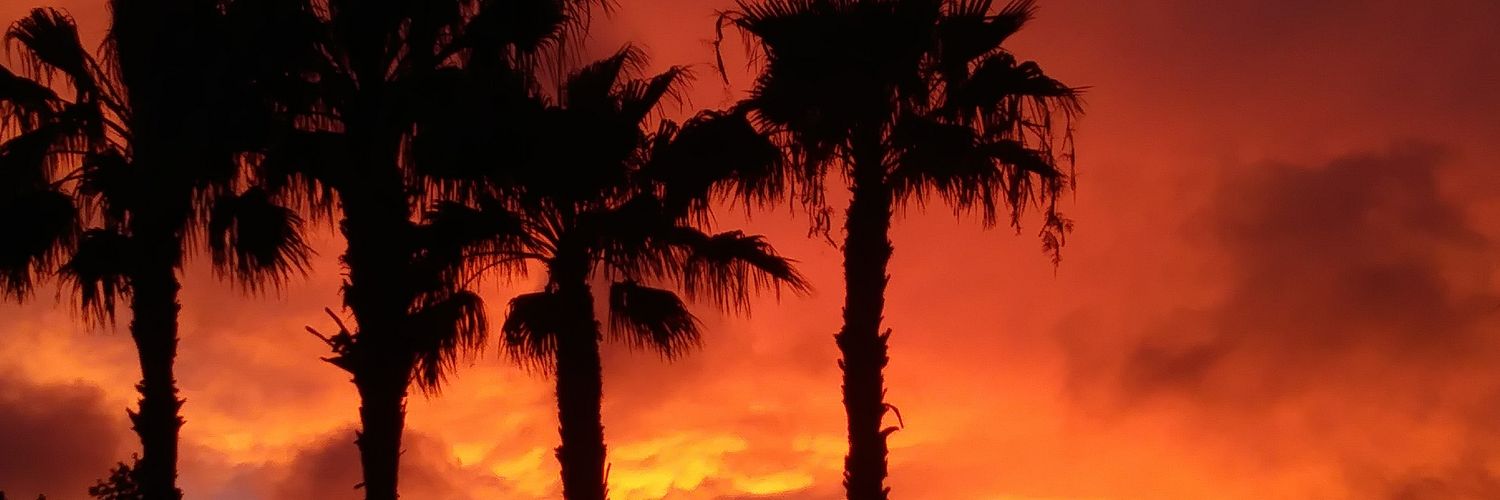 EricHosmerWho's profile banner image