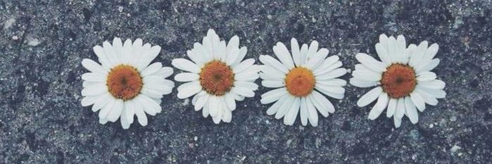 MVirginia4's profile banner image
