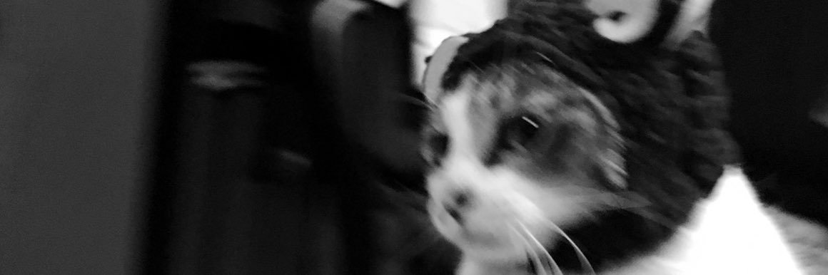 ma_j_411's profile banner image