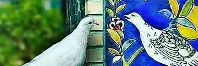 Dr. Burçin Kalabay (Hatipoglu) banner