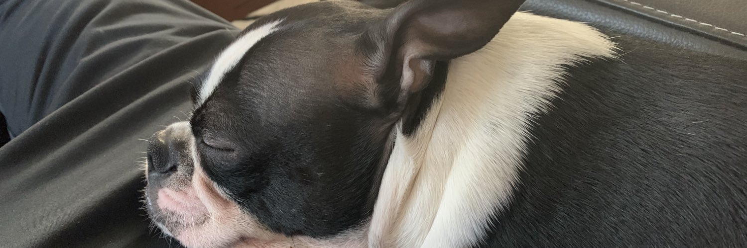 DewFPS's profile banner image