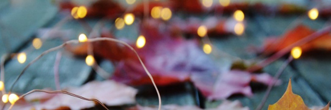 zenab_alsayed's profile banner image