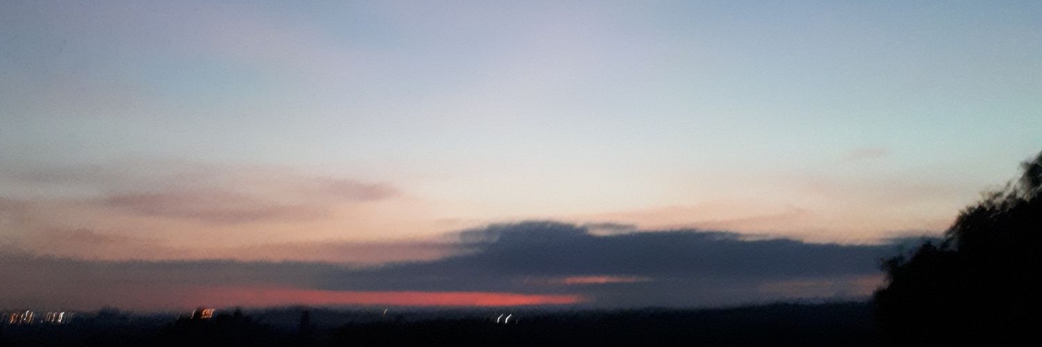 Flip_pego's profile banner image