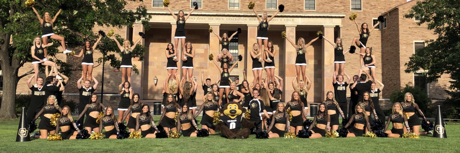 Chip the Buffalo banner