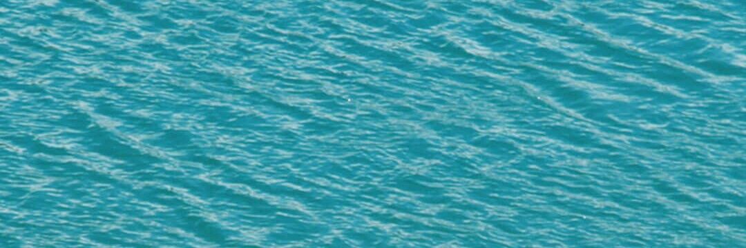 Papinelso's profile banner image