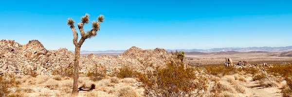 evetroeh Profile Banner