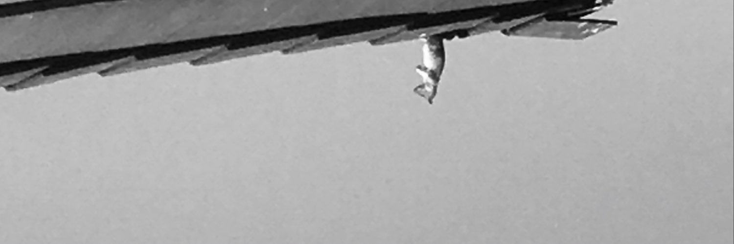 therivkid_'s profile banner image