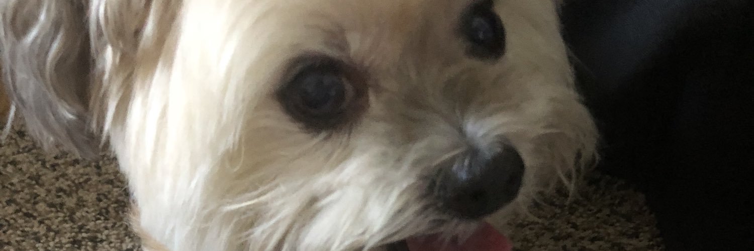 Rexay's profile banner image