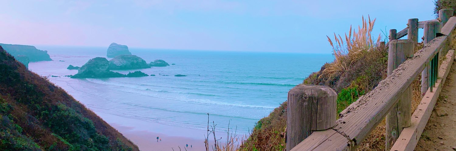 Maddy_willy's profile banner image