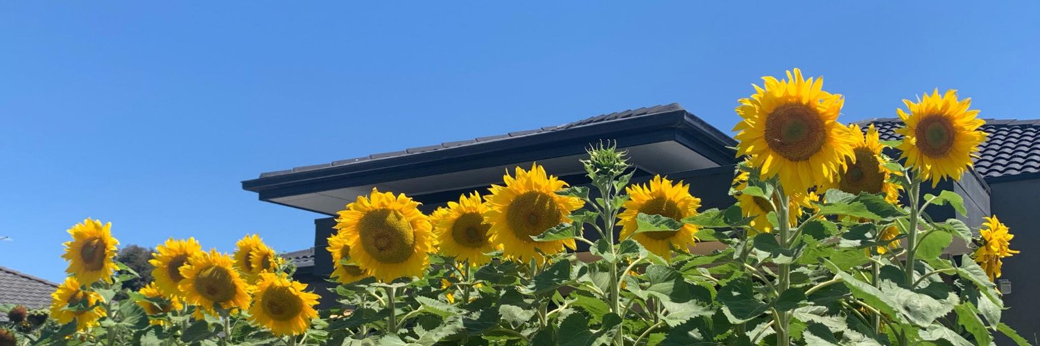 itskerryc's profile banner image