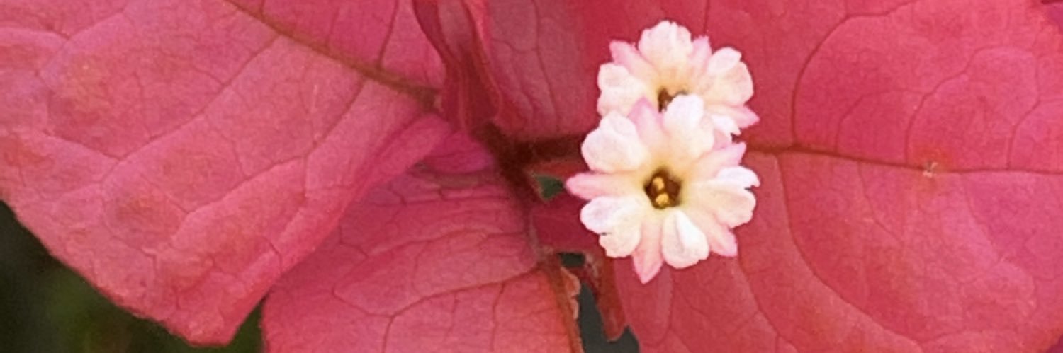 AJFalmost's profile banner image