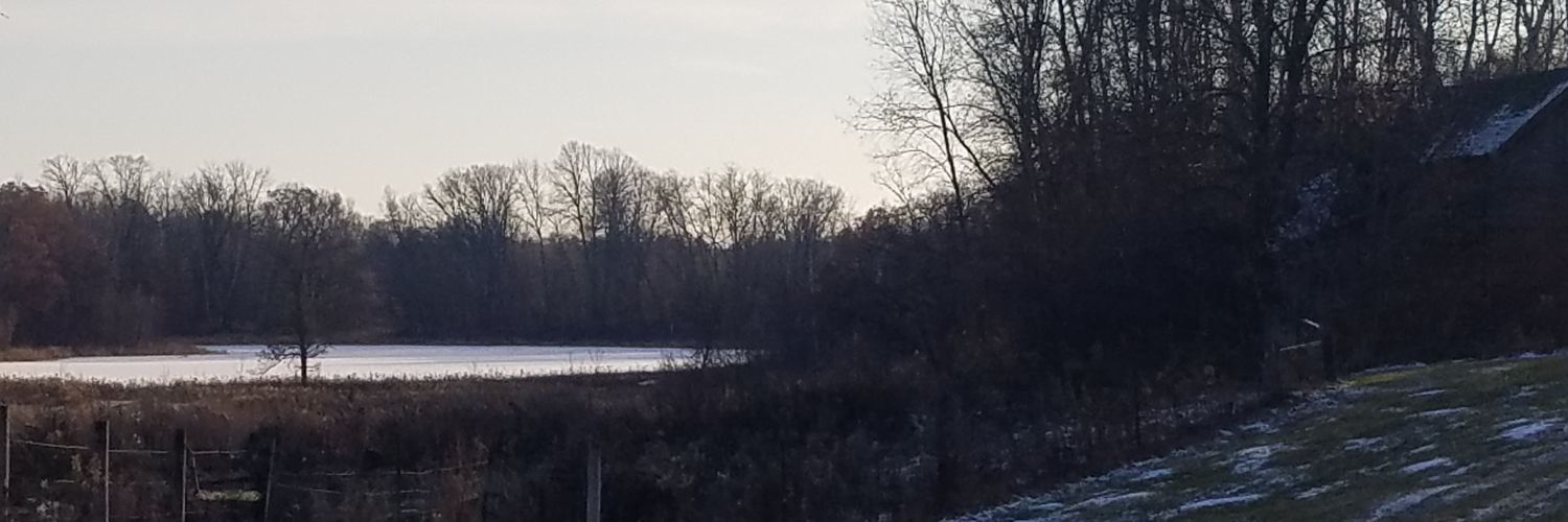 TheRealHORN12's profile banner image