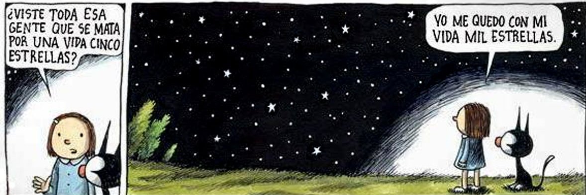 CaroStriebeck's profile banner image