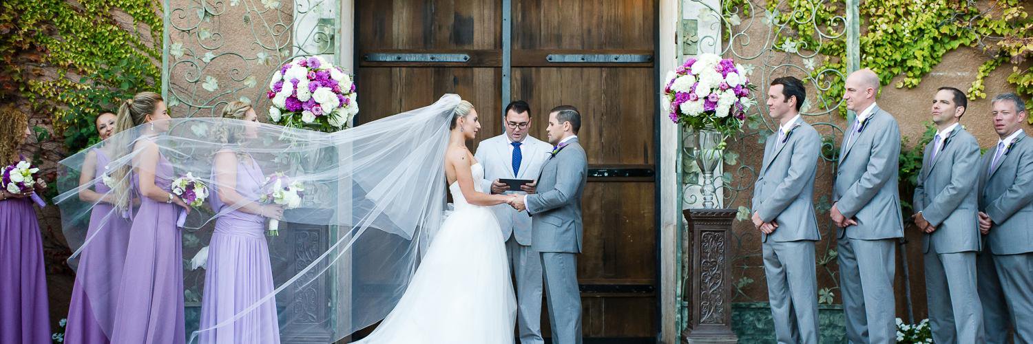 Chloe Jackman banner