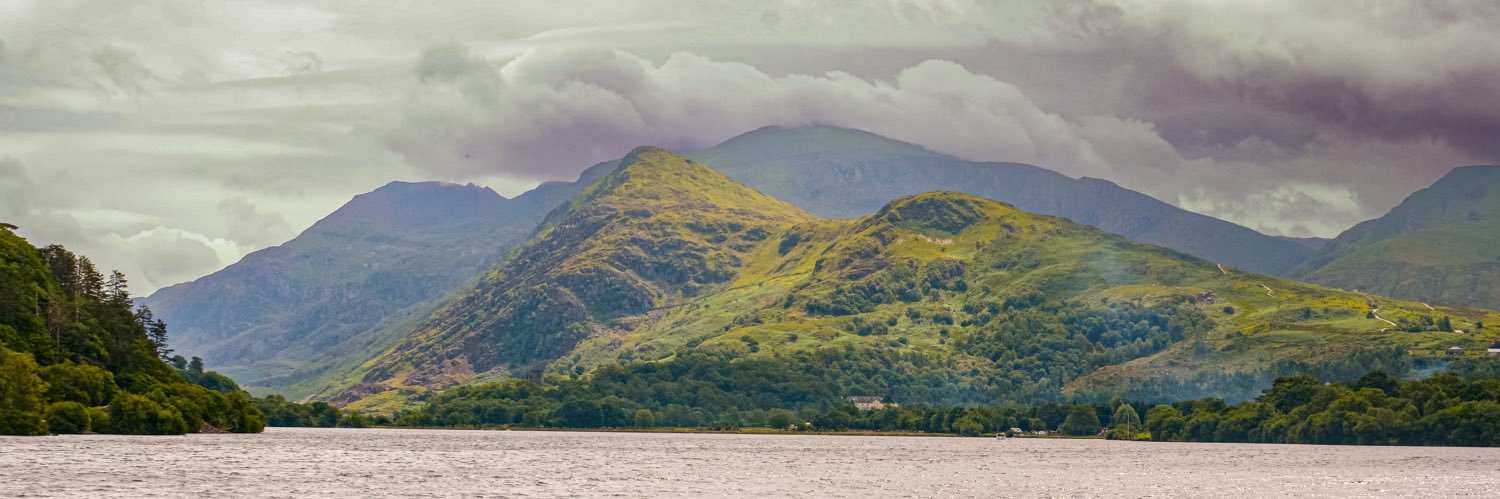 Helen Royles-Jones banner