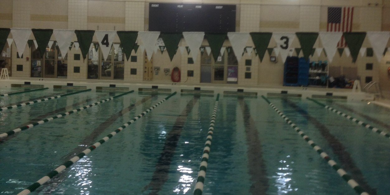 Medina Bees Swimming and Diving banner
