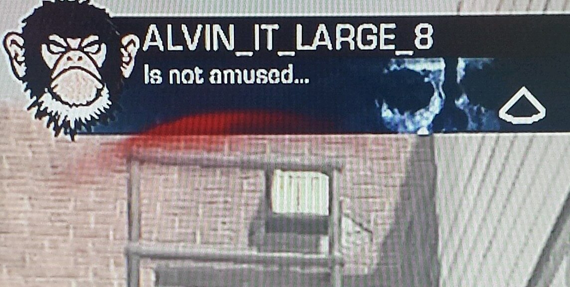 Adam Stamenkovic banner