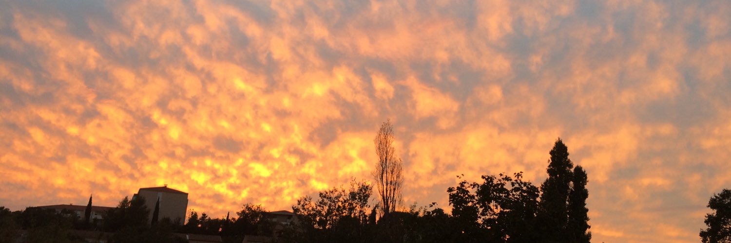 Fabienne Bencini banner