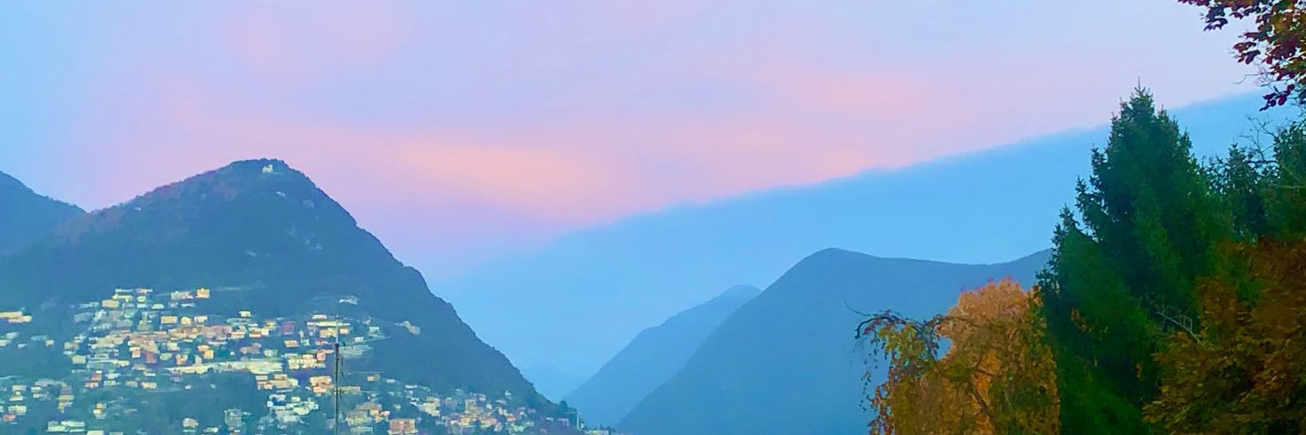 turtleluvr2605's profile banner image