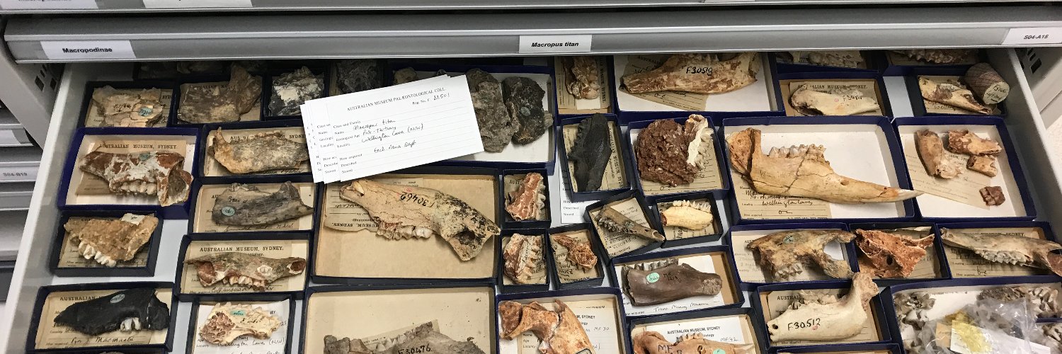 DeSantis DREAM Lab banner