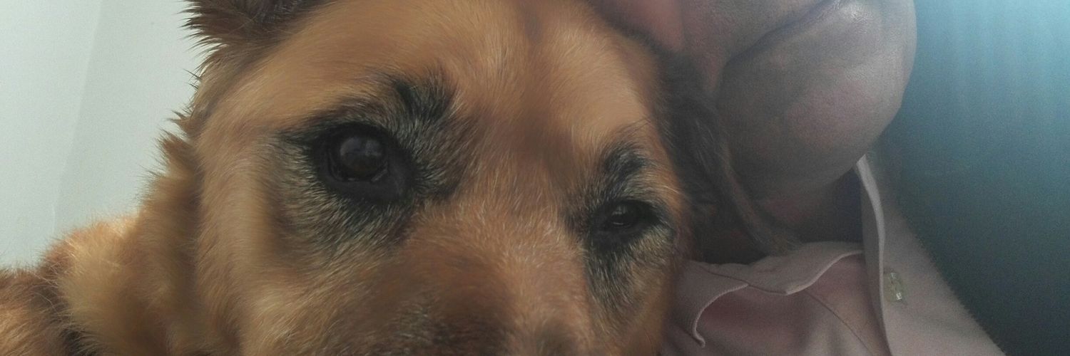 lufranlou's profile banner image