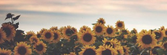 verolepe46's profile banner image