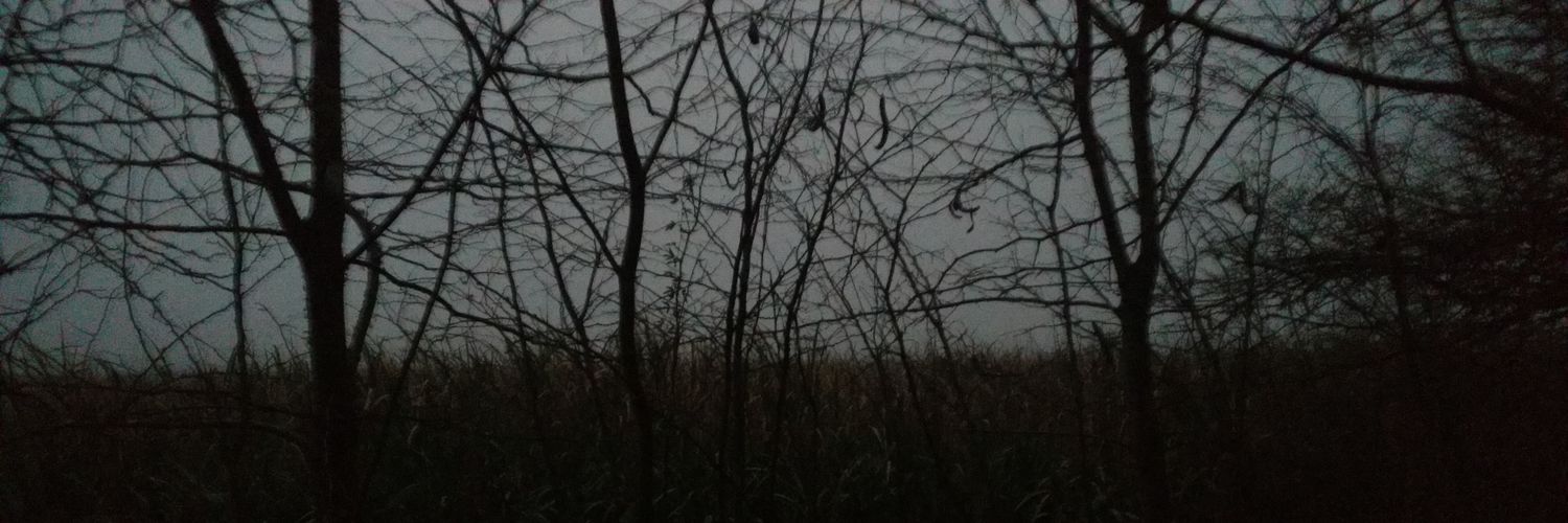 _martineznico_'s profile banner image